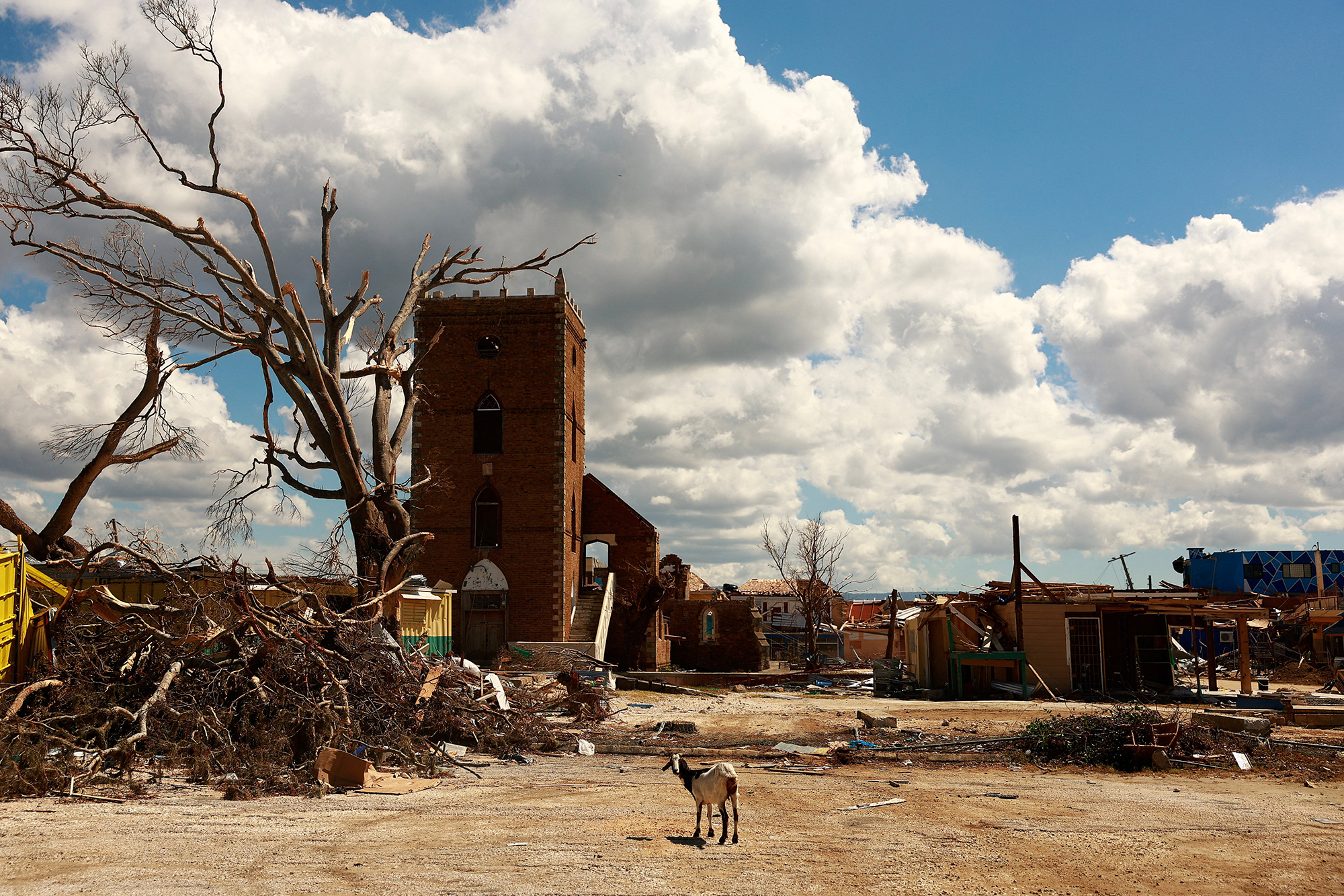 Faith and action bring healing after Hurricane Melissa’s ‘heartbreak’