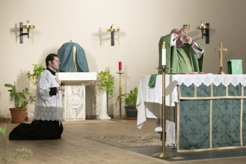 Instituted acolyte Steven Gilroy