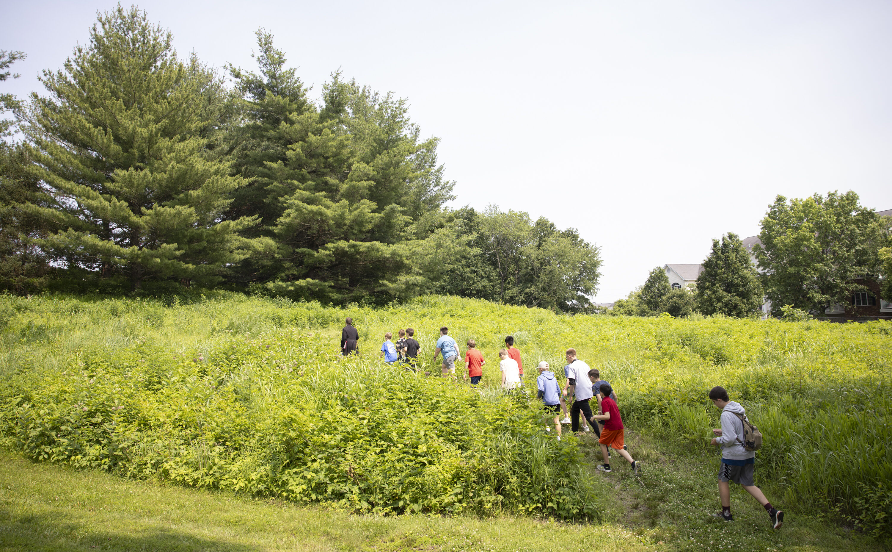 Caring for creation this Lent