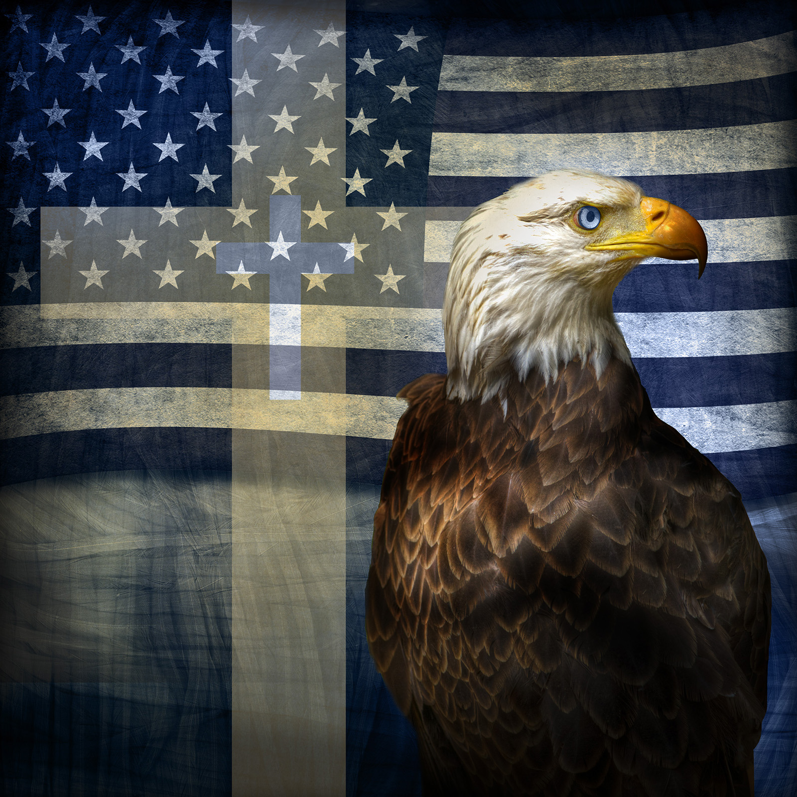 Freedom and obedience go together in the life of Jesus