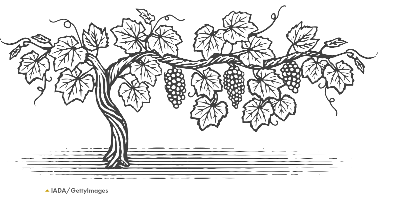 Christian joy is participation in the joy of Jesus