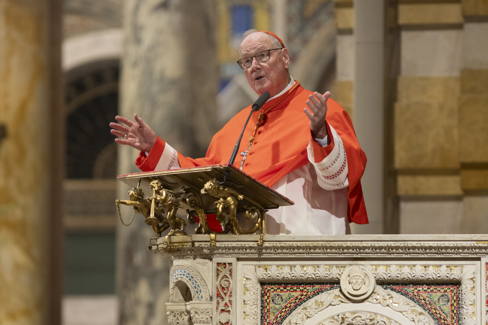 Cardinal Timothy Dolan was the homilist at a Mass for the Bicentennial Jubilee Year 